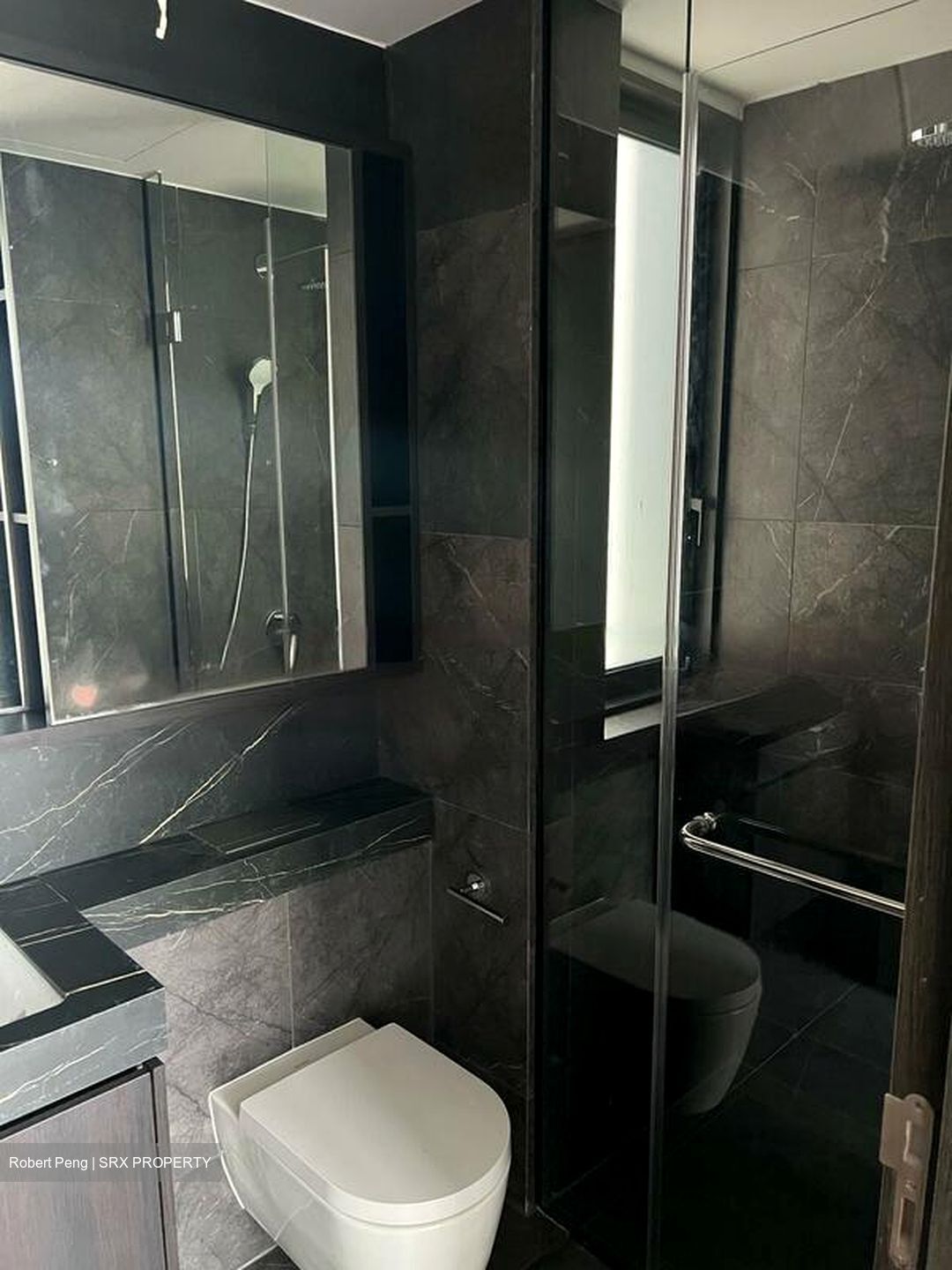 Hyll On Holland (D10), Condominium #629227271